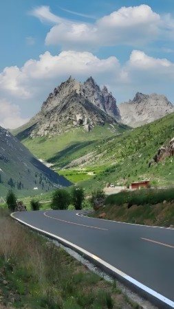 2026甘肅. 青海. 洛克之路(越野車)16天